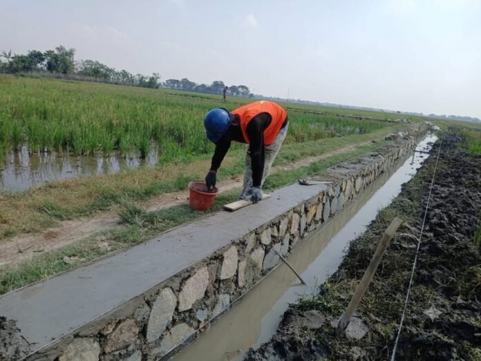 P3-TGAI 2026 Perkuat Jaringan Irigasi Desa Telukbuyung, Petani Beri Apresiasi kepada BBWS Citarum