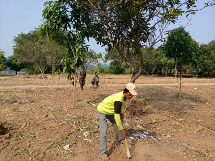 Kompi Produksi Kodim Karawang Tak Sekadar Hasilkan Pangan, 41 Warga Ikut Sejahtera